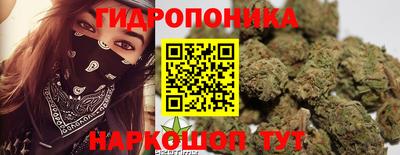 круглые Кингисепп