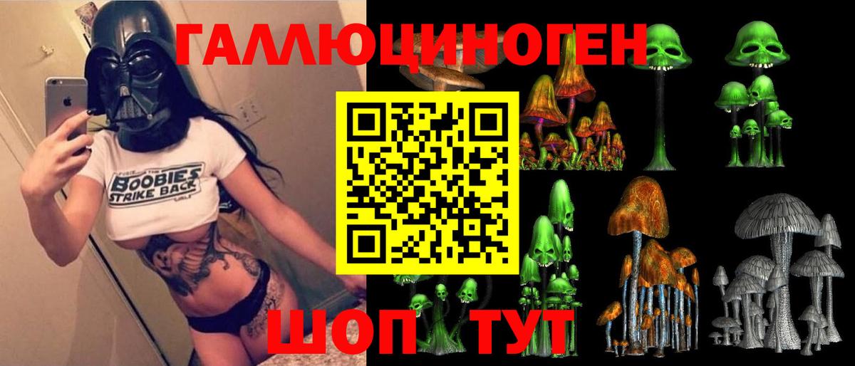 Красногорск  Псилоцибиновые грибы мицелий  Галлюциногенные грибы Cubensis  Вход с VPN 