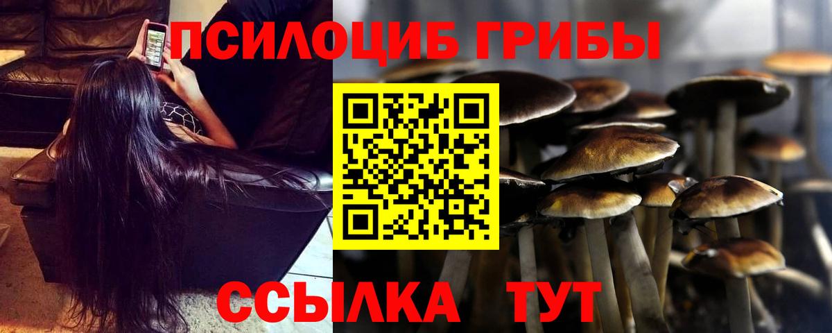 Галлюциногенные грибы Cubensis  Красногорск  Галлюциногенные грибы Magic Shrooms 