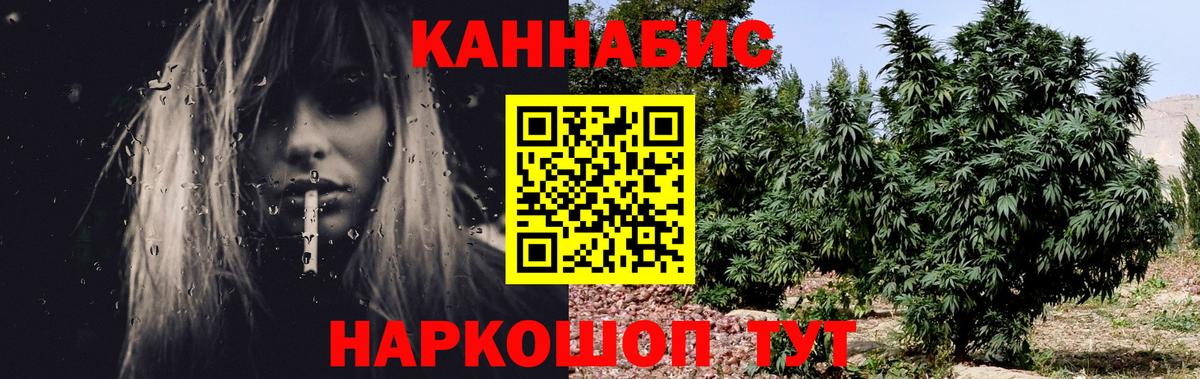 Конопля Bruce Banner Красногорск